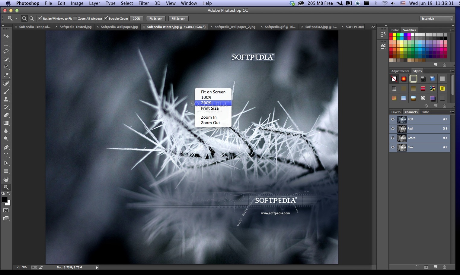 Adobe photoshop cs6 mac download torrent